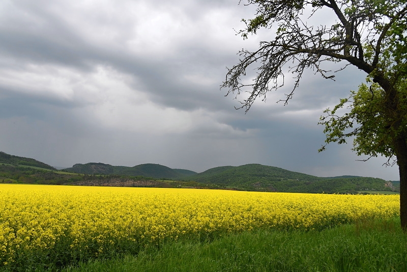 Český kras